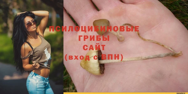 гашик Абдулино