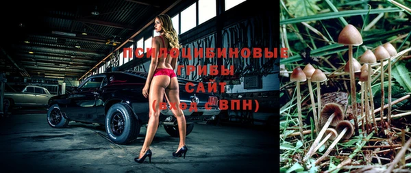 гашик Абдулино