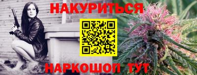 Альфа ПВП Краснознаменск