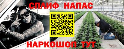 Альфа ПВП Краснознаменск