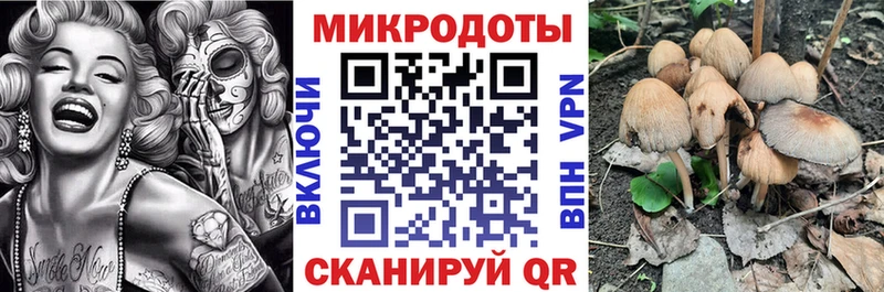 Псилоцибиновые грибы Cubensis Кимовск