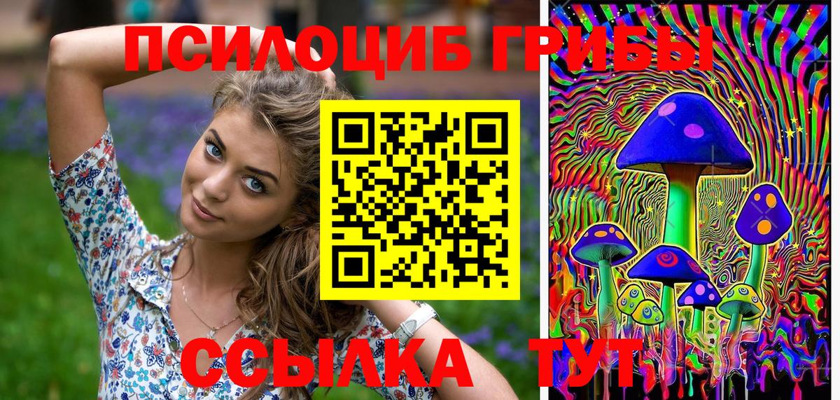 Кимовск  Псилоцибиновые грибы Cubensis  Вход с VPN  Галлюциногенные грибы прущие грибы 