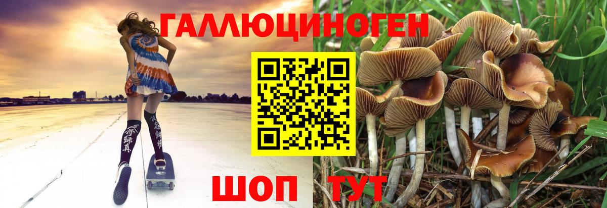Псилоцибиновые грибы мухоморы Кимовск