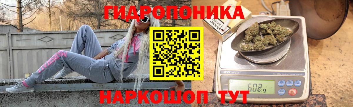 Бошки Шишки тримм  Вход с VPN  Марихуана OG Kush  Кимовск 